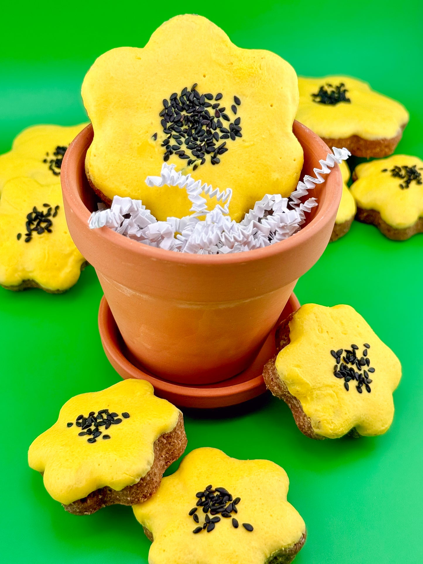 Frosted Sunflowers Dog Treats