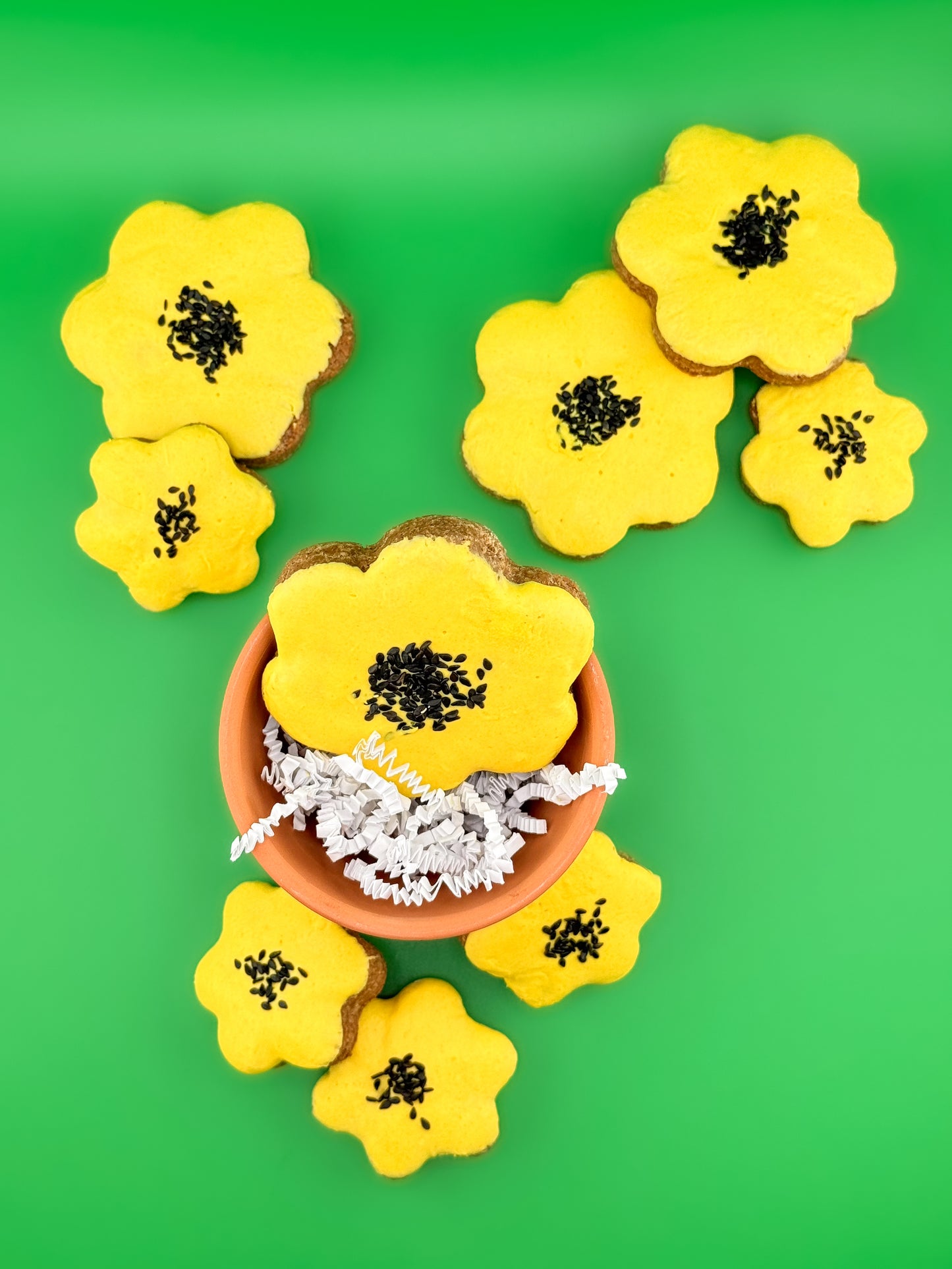 Frosted Sunflowers Dog Treats