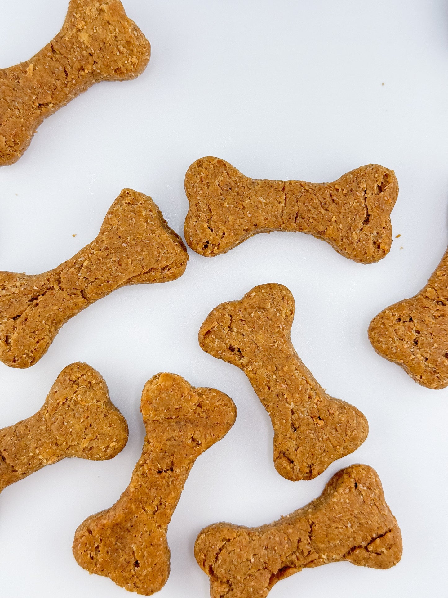 Small Dog Bone Treats - Peanut Butter